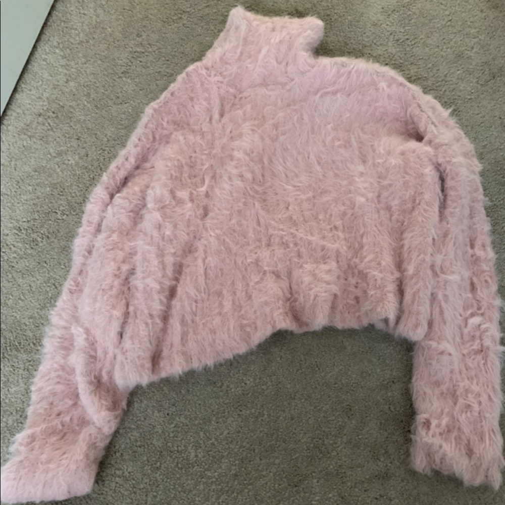 American Eagle Cropped Turtleneck Sweater